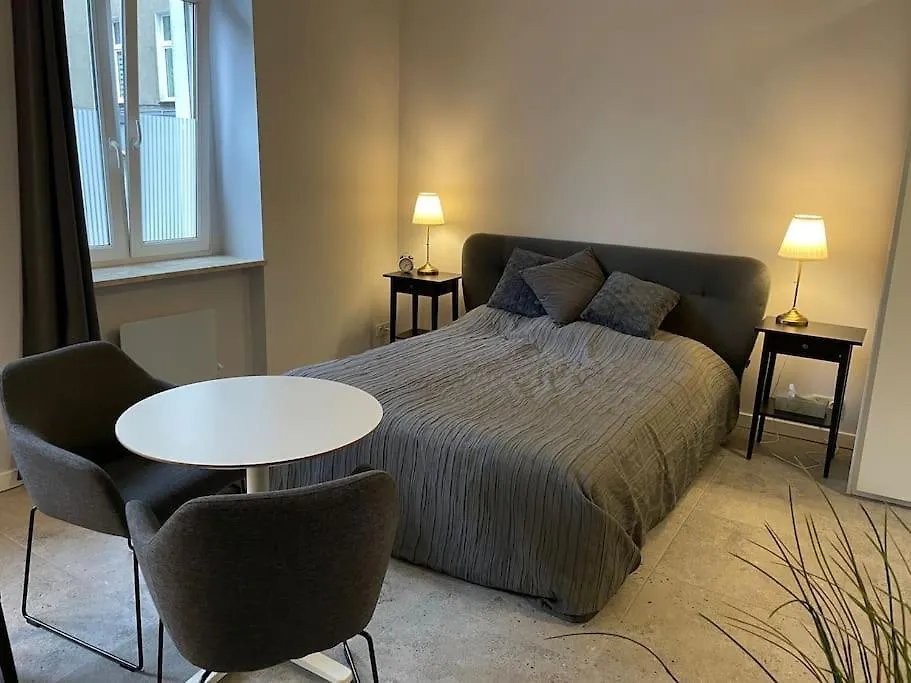 Spacious Apartment In The Heart Of Poznan,Old Town