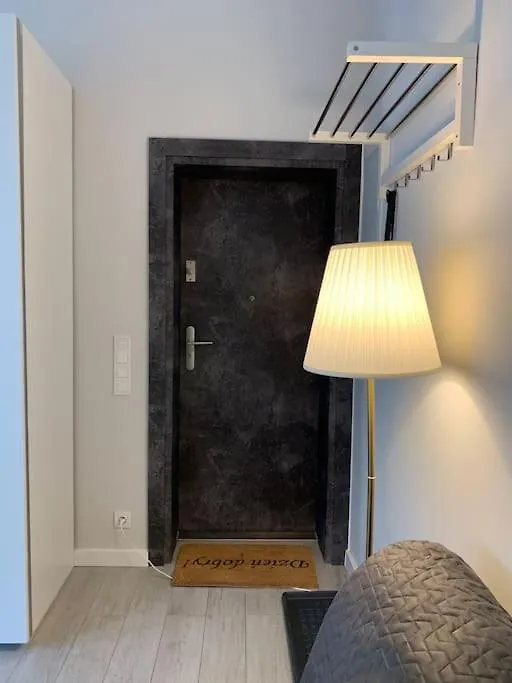 Spacious Apartment In The Heart Of Poznan,Old Town